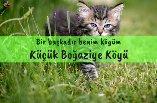 Küçük Boğaziye Köyü